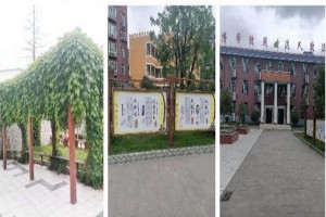 仪陇县博达实验学校收费标准(学费)及学校简介