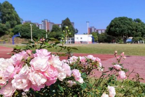 2022年东莞市厚街长河道明学校招生简章及收费标准(小学、初中)