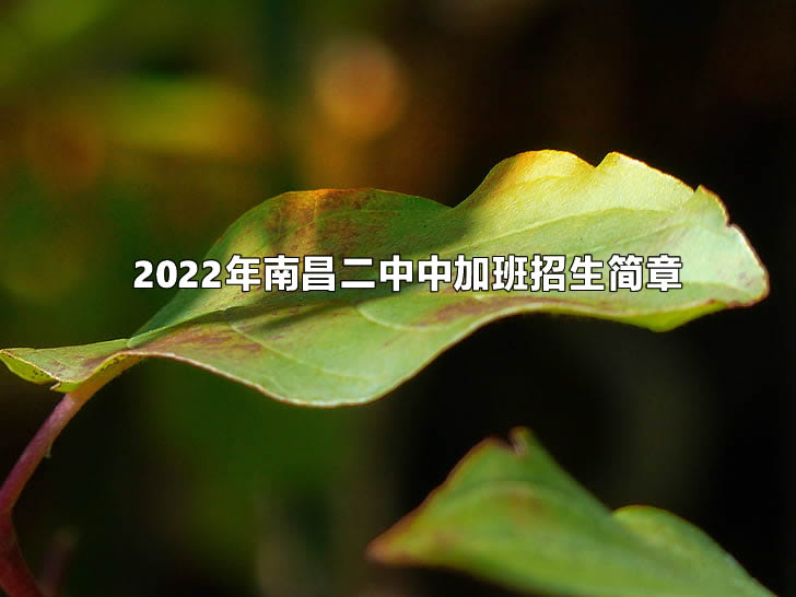 2022年南昌二中中加班招生简章.jpg