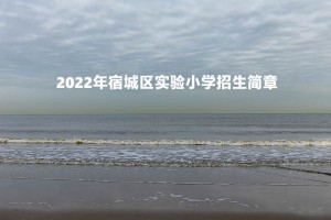 2022年宿城区实验小学招生简章(附施教区范围)