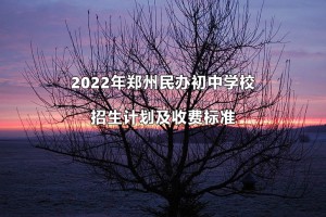 2022年郑州民办初中学校招生计划及收费标准一览