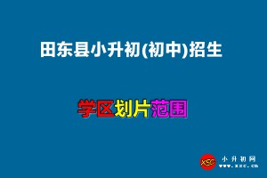 2022年田东县小升初(初中)招生划片范围一览