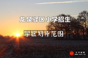 2022年龙泉驿区小学招生划片范围(小学学区划分方案)