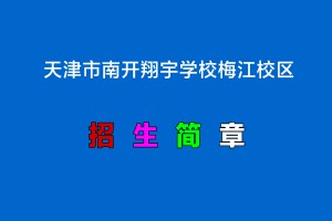 2022年天津市南开翔宇学校梅江校区小升初招生简章(附收费标准)