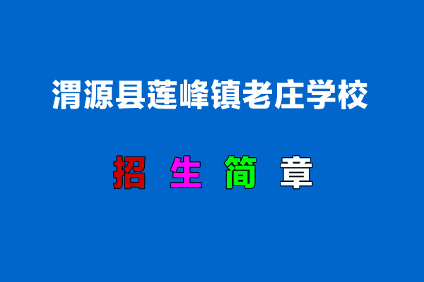 渭源县莲峰镇老庄学校.jpg