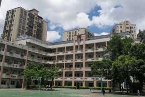 深圳市宝安区育才学校收费标准(学费)及学校简介