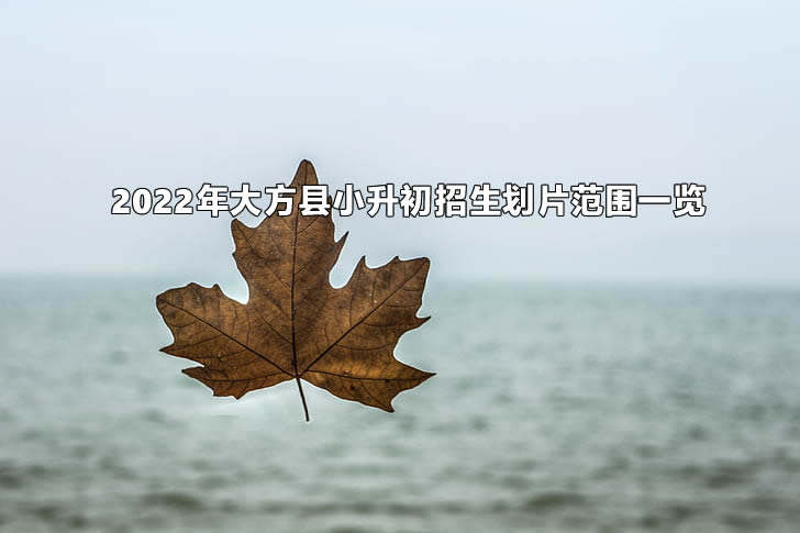 2022年大方县小升初招生划片范围一览.jpg