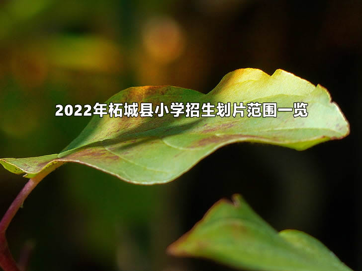 2022年柘城县小学招生划片范围一览.jpg