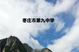 2022年枣庄市第九中学小升初招生简章(附招生划片范围)