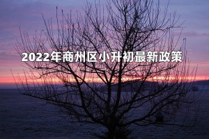 2022年商州区小升初最新政策（附招生报名时间表）