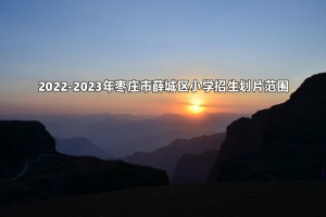 2022-2023年枣庄市薛城区小学招生划片范围一览