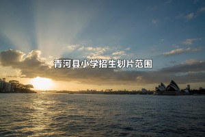 2022-2023年青河县小学招生划片范围一览