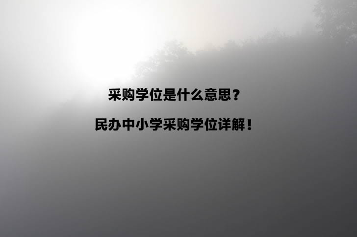 采购学位是什么意思？民办中小学采购学位详解！.jpg