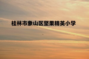 桂林市象山区坚果精英小学收费标准(学费)及学校简介