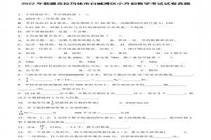 2022年新疆克拉玛依市白碱滩区小升初数学考试试卷真题及答案(人教版)