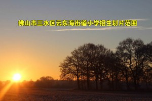 2022-2023年佛山市三水区云东海街道小学招生划片范围一览