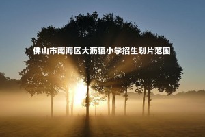 2022-2023年佛山市南海区大沥镇小学招生划片范围一览