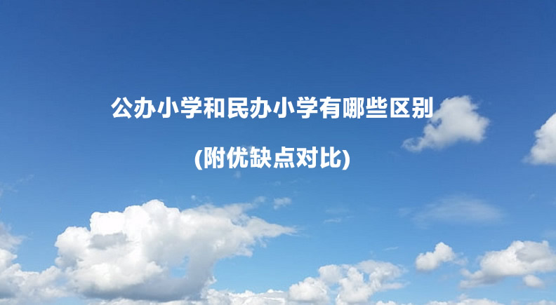 公办小学和民办小学有哪些区别(附优缺点对比).jpg