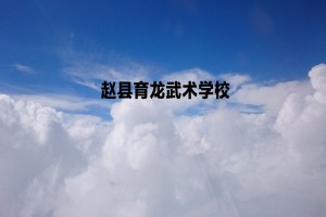 赵县育龙武术学校收费标准(学费)及学校简介