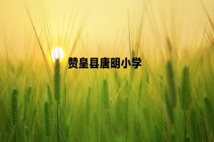 赞皇县唐明小学收费标准(学费)及学校简介