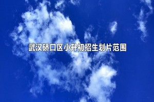 2022-2023年武汉硚口区小升初招生划片范围(初中划片)