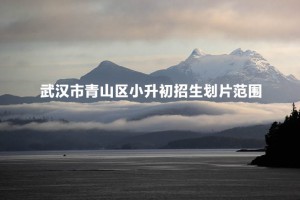 2022-2023年武汉市青山区小升初招生划片范围(初中对口服务范围)