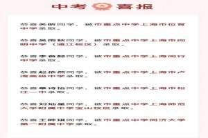 2022年上海市燎原双语学校中考成绩升学率(中考喜报)