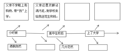 xsc235.jpg