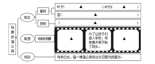 xsc889.jpg