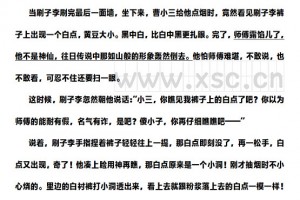 刷子李阅读理解题及答案(阅读答案)