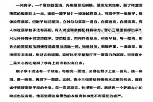 刷子李阅读理解题及答案(阅读答案二)