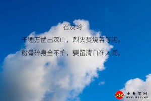 石灰吟阅读理解题及答案(阅读答案二)