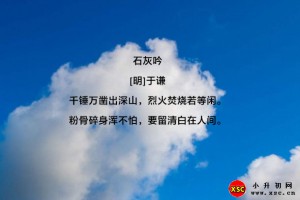 石灰吟阅读理解题及答案(阅读答案四)