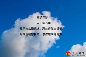 稚子弄冰阅读理解题及答案(阅读答案)