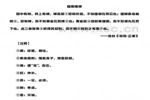 螳螂捕蝉阅读理解题及答案(阅读答案三)