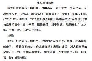 陈太丘与友期行阅读理解题及答案(阅读答案二)