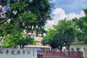 阳江市江城区和平龙源学校收费标准(学费)及学校简介