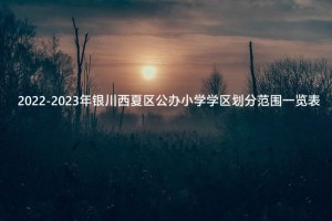 2022-2023年银川西夏区公办小学学区划分范围一览表