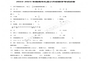 2022-2023陇南市礼县小升初数学考试试卷真题及答案(人教版)