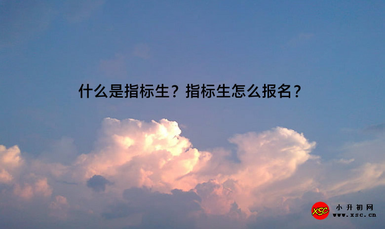 什么是指标生？指标生怎么报名？.jpg