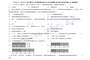 2022-2023年黄石市阳新县小升初数学考试试卷真题及答案(人教版)