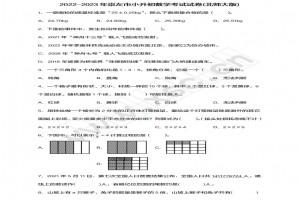 2022-2023年崇左市小升初数学考试试卷真题及答案(北师大版)
