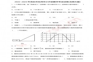 2022-2023年茂名市化州市小升初数学考试试卷真题及答案(北师大版)