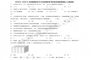 2022-2023年昭通市小升初数学考试试卷真题及答案(人教版)