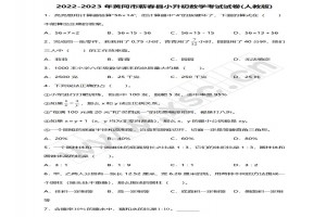 2022-2023年黄冈市蕲春县小升初数学考试试卷真题及答案(人教版)