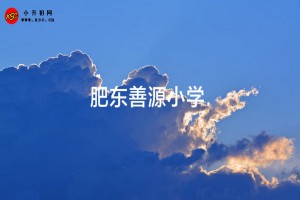 肥东善源小学收费标准(学费)及学校简介