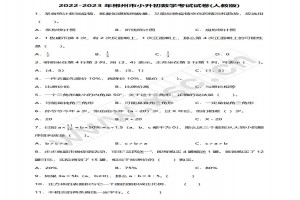 2022-2023年郴州市小升初数学考试试卷真题及答案(人教版)
