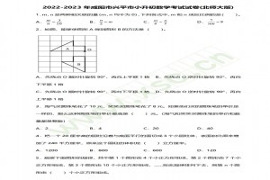 2022-2023年咸阳市兴平市小升初数学考试试卷真题及答案(北师大版)