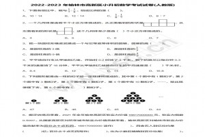 2022-2023年榆林市高新区小升初数学考试试卷真题及答案(人教版)