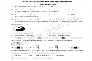 2023年小升初数学考试试卷模拟真题及答案(人教版第二套)